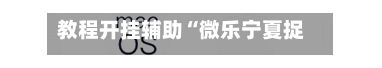教程开挂辅助“微乐宁夏捉麻子必赢神器”(辅助神器)开挂详细教程-第2张图片