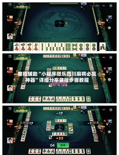 教程辅助“小程序微乐四川麻将必赢神器	”详细分享装挂步骤教程-第2张图片