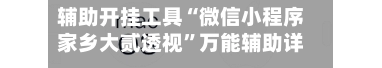 辅助开挂工具“微信小程序家乡大贰透视”万能辅助详细步骤与使用技巧