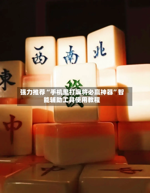 强力推荐“手机里打麻将必赢神器”智能辅助工具使用教程-第2张图片