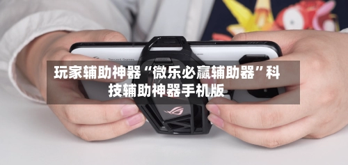 玩家辅助神器“微乐必赢辅助器”科技辅助神器手机版-第2张图片
