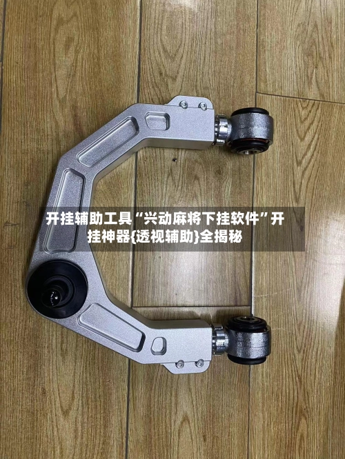 开挂辅助工具“兴动麻将下挂软件”开挂神器{透视辅助}全揭秘