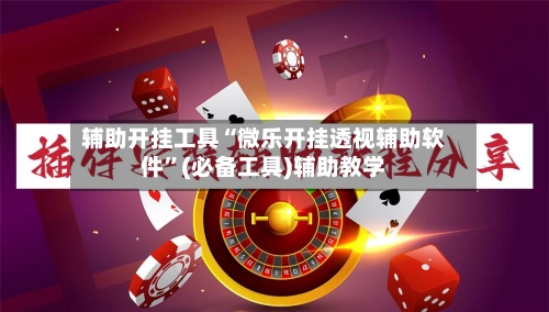 辅助开挂工具“微乐开挂透视辅助软件”(必备工具)辅助教学-第2张图片