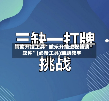 辅助开挂工具“微乐开挂透视辅助软件”(必备工具)辅助教学-第3张图片