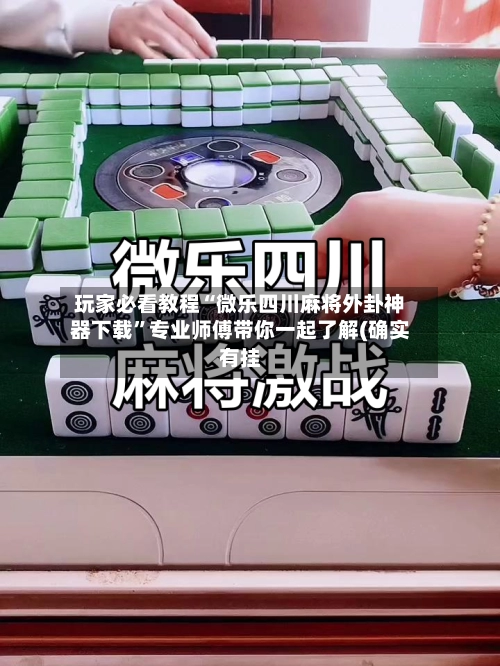 玩家必看教程“微乐四川麻将外卦神器下载”专业师傅带你一起了解(确实有挂-第2张图片