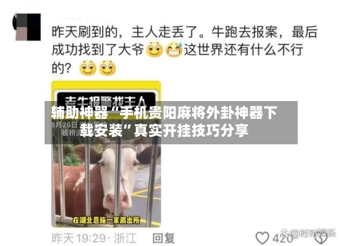辅助神器“手机贵阳麻将外卦神器下载安装”真实开挂技巧分享-第3张图片
