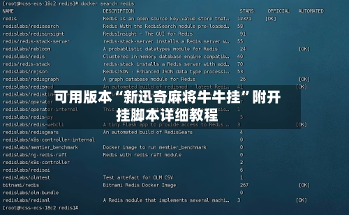 可用版本“新迅奇麻将牛牛挂”附开挂脚本详细教程-第2张图片