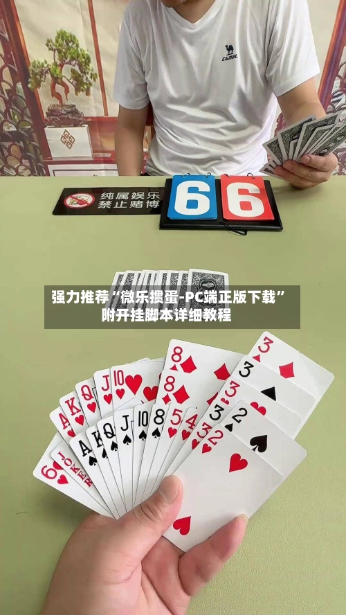 强力推荐“微乐掼蛋-PC端正版下载”附开挂脚本详细教程-第3张图片