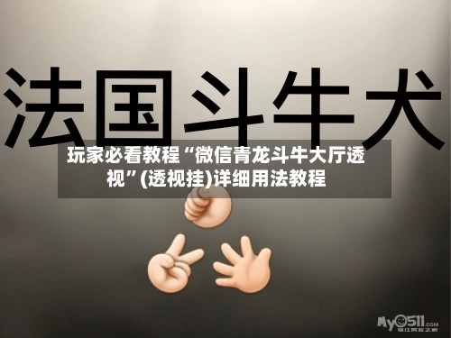 玩家必看教程“微信青龙斗牛大厅透视	”(透视挂)详细用法教程-第2张图片