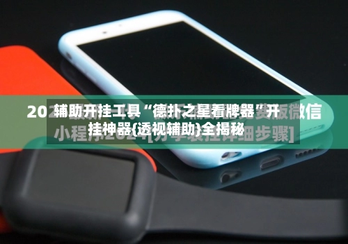 辅助开挂工具“德扑之星看牌器”开挂神器{透视辅助}全揭秘-第2张图片