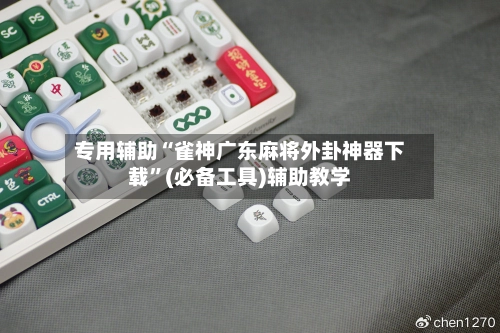 专用辅助“雀神广东麻将外卦神器下载”(必备工具)辅助教学-第2张图片