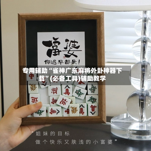 专用辅助“雀神广东麻将外卦神器下载”(必备工具)辅助教学-第3张图片