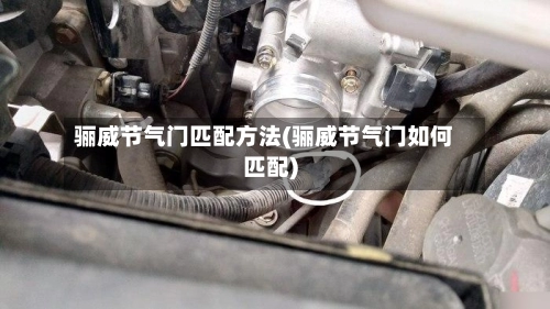骊威节气门匹配方法(骊威节气门如何匹配)-第2张图片