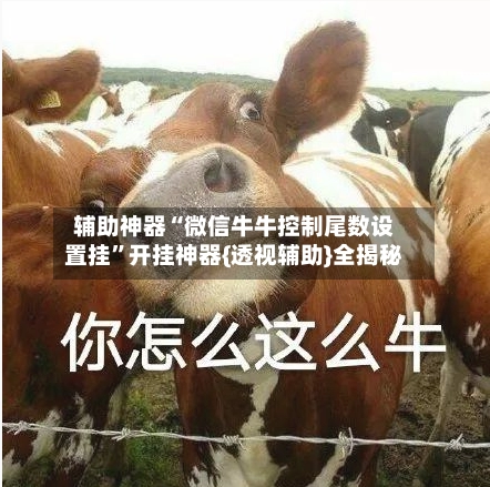 辅助神器“微信牛牛控制尾数设置挂”开挂神器{透视辅助}全揭秘-第2张图片