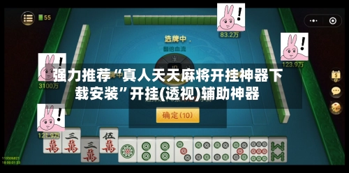 强力推荐“真人天天麻将开挂神器下载安装	”开挂(透视)辅助神器-第2张图片