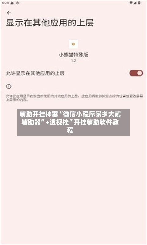 辅助开挂神器“微信小程序家乡大贰辅助器”+透视挂”开挂辅助软件教程-第2张图片
