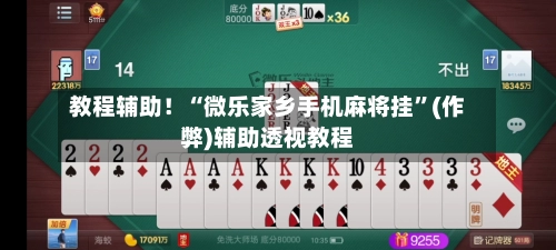 教程辅助！“微乐家乡手机麻将挂”(作弊)辅助透视教程