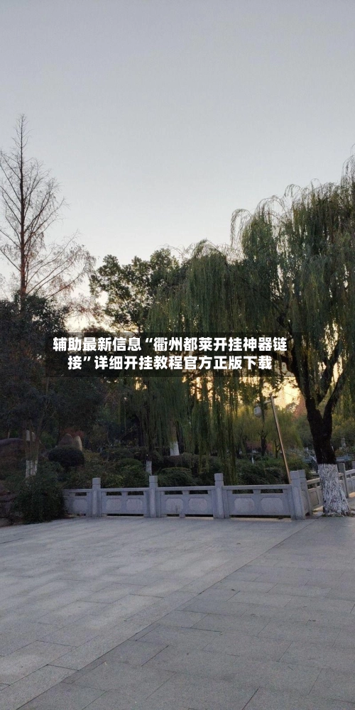 辅助最新信息“衢州都莱开挂神器链接	”详细开挂教程官方正版下载-第3张图片
