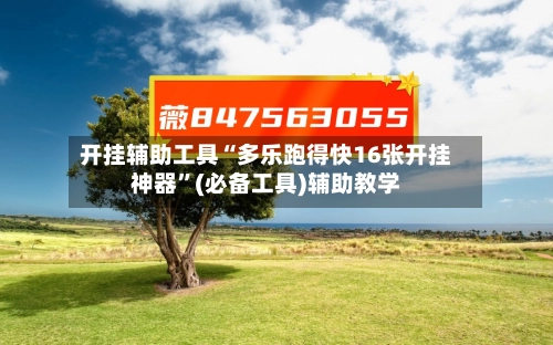 开挂辅助工具“多乐跑得快16张开挂神器”(必备工具)辅助教学