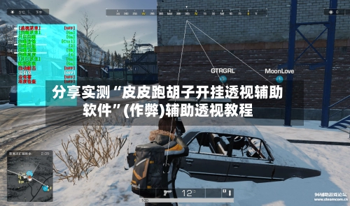 分享实测“皮皮跑胡子开挂透视辅助软件”(作弊)辅助透视教程