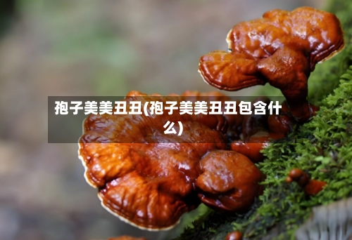 孢子美美丑丑(孢子美美丑丑包含什么)