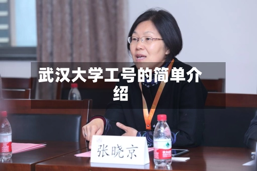 武汉大学工号的简单介绍