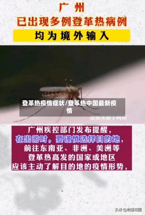 登革热疫情症状/登革热中国最新疫情-第2张图片