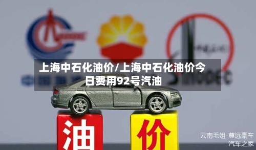 上海中石化油价/上海中石化油价今日费用92号汽油-第2张图片