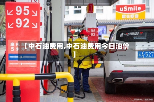 【中石油费用,中石油费用今日油价】-第3张图片