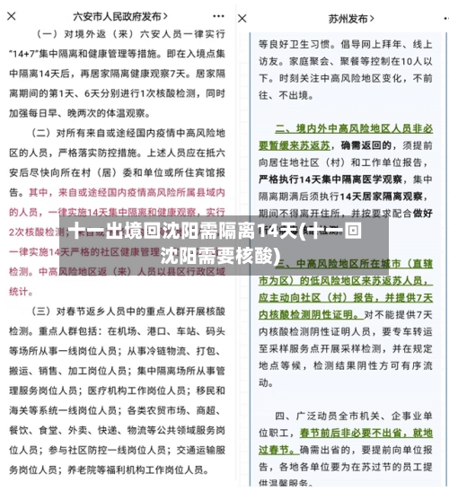 十一出境回沈阳需隔离14天(十一回沈阳需要核酸)-第3张图片