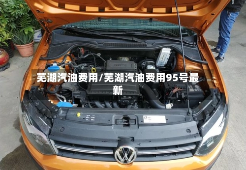 芜湖汽油费用/芜湖汽油费用95号最新