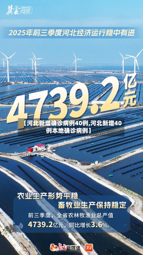 【河北新增确诊病例40例,河北新增40例本地确诊病例】-第2张图片
