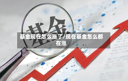 基金现在怎么涨了/现在基金怎么都在涨-第2张图片
