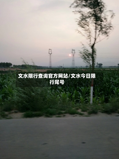 文水限行查询官方网站/文水今日限行尾号-第2张图片
