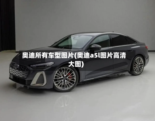 奥迪所有车型图片(奥迪a5l图片高清大图)