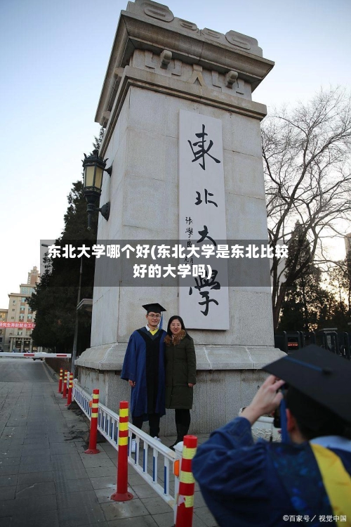 东北大学哪个好(东北大学是东北比较好的大学吗)