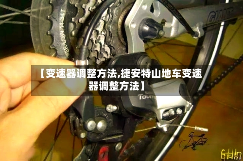 【变速器调整方法,捷安特山地车变速器调整方法】-第3张图片