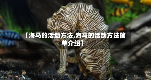 【海马的活动方法,海马的活动方法简单介绍】-第2张图片