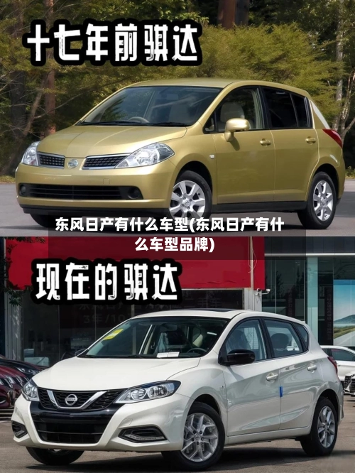 东风日产有什么车型(东风日产有什么车型品牌)