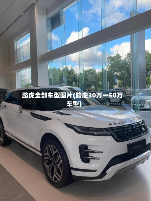 路虎全部车型图片(路虎30万一50万车型)-第2张图片