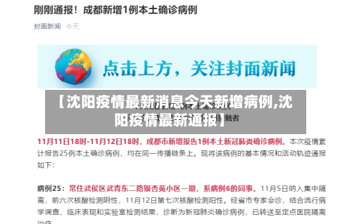 【沈阳疫情最新消息今天新增病例,沈阳疫情最新通报】-第2张图片