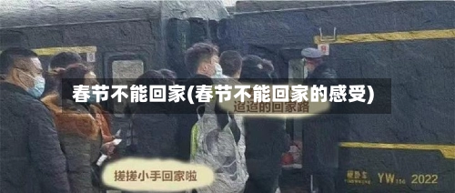春节不能回家(春节不能回家的感受)