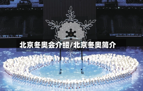 北京冬奥会介绍/北京冬奥简介