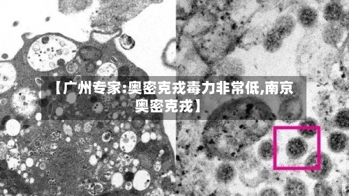 【广州专家:奥密克戎毒力非常低,南京奥密克戎】
