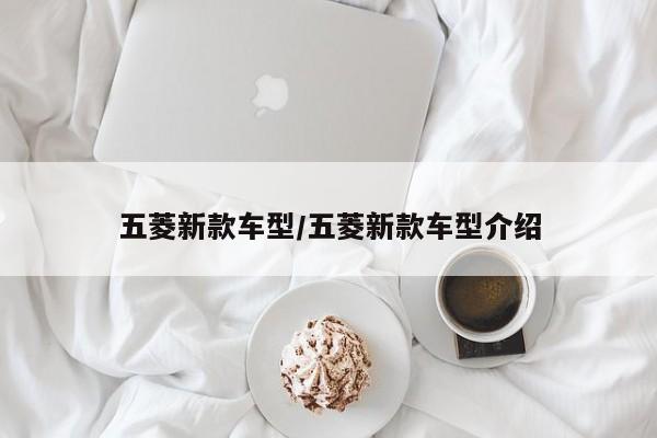 五菱新款车型/五菱新款车型介绍