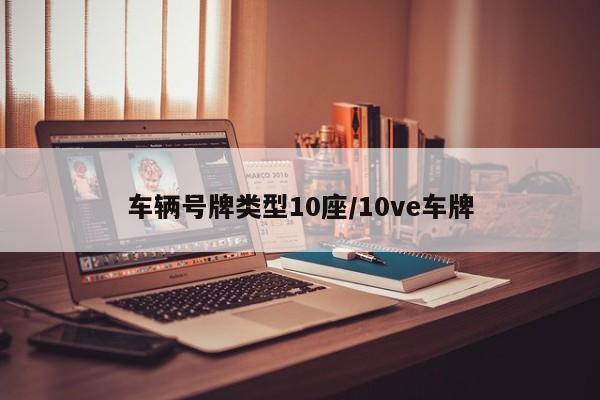 车辆号牌类型10座/10ve车牌