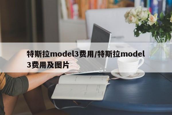 特斯拉model3费用/特斯拉model3费用及图片