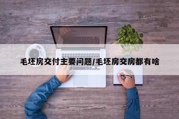毛坯房交付主要问题/毛坯房交房都有啥