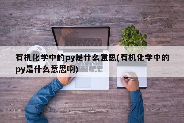 有机化学中的py是什么意思(有机化学中的py是什么意思啊)