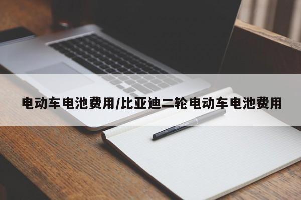 电动车电池费用/比亚迪二轮电动车电池费用